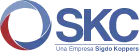 Logo SK Comercial